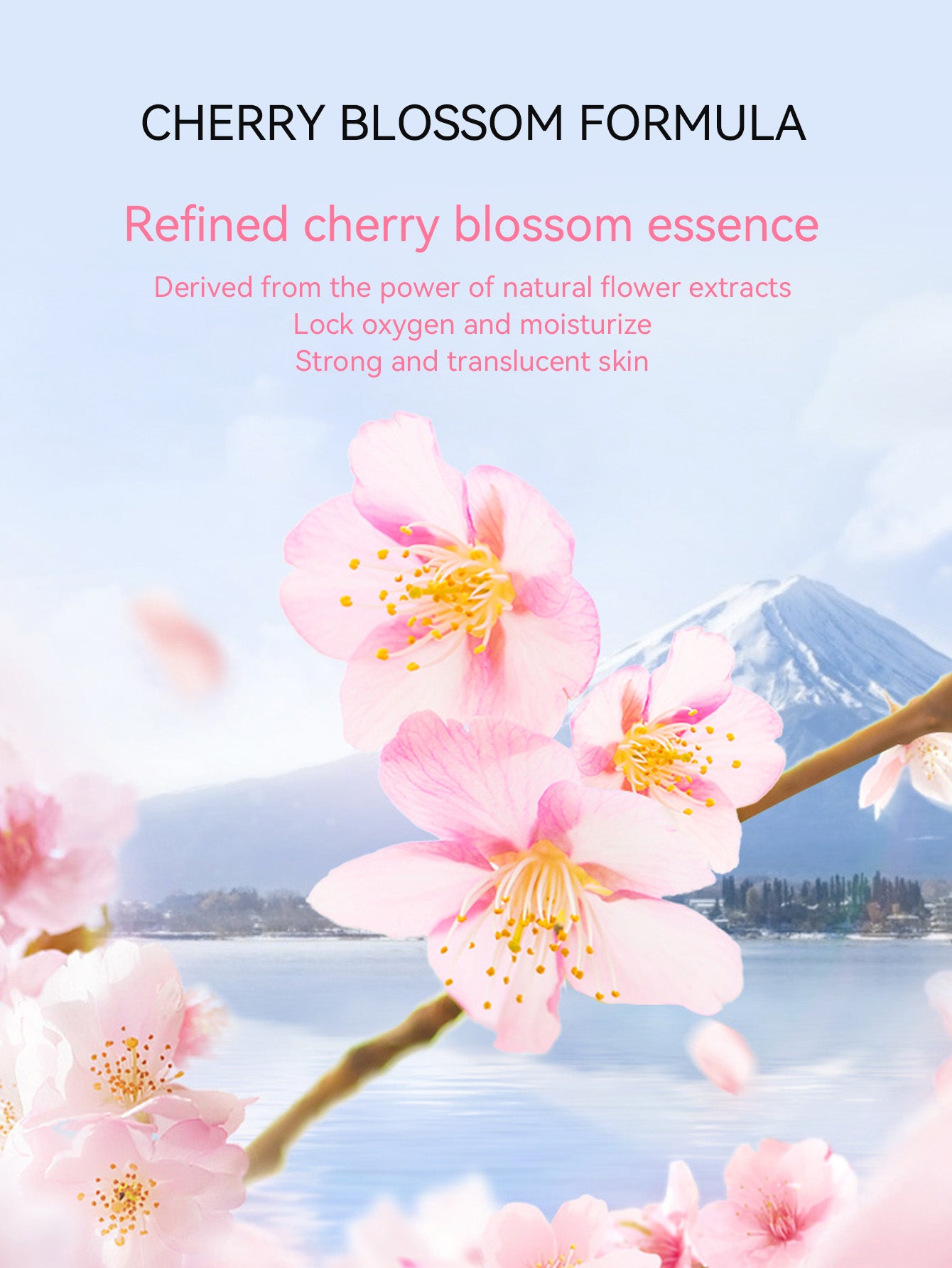 Cherry Blossom Face Contouring Noblewoman 8-Piece Set