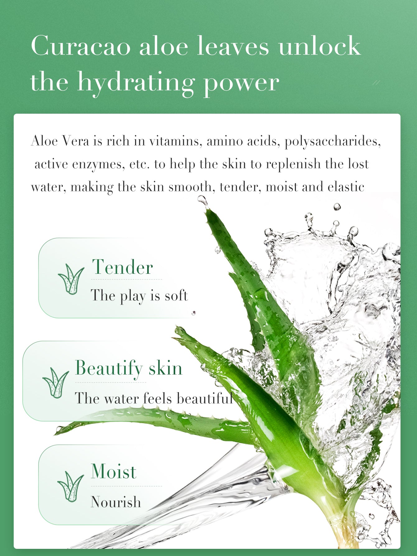 Aloe Vera Rejuvenating Hydrating Mask